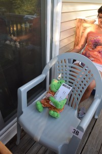 Froggy Goes to Hawaii