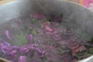 Red Cabbage as a pH indicator