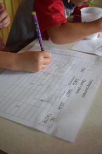 Recording Our Observations