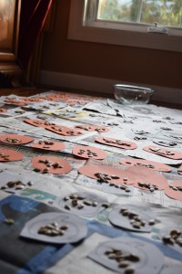 Counting Pumpkin Seeds