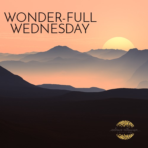 wonderfullwednesday