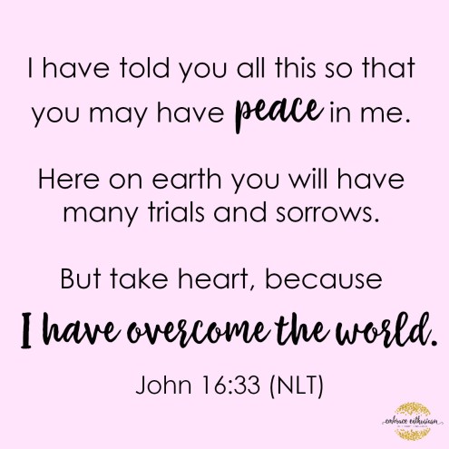 embraceenthusiasmjohn1633