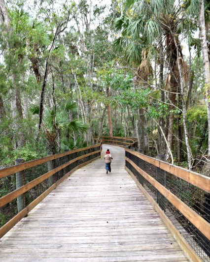 januaryhomeschooling201810