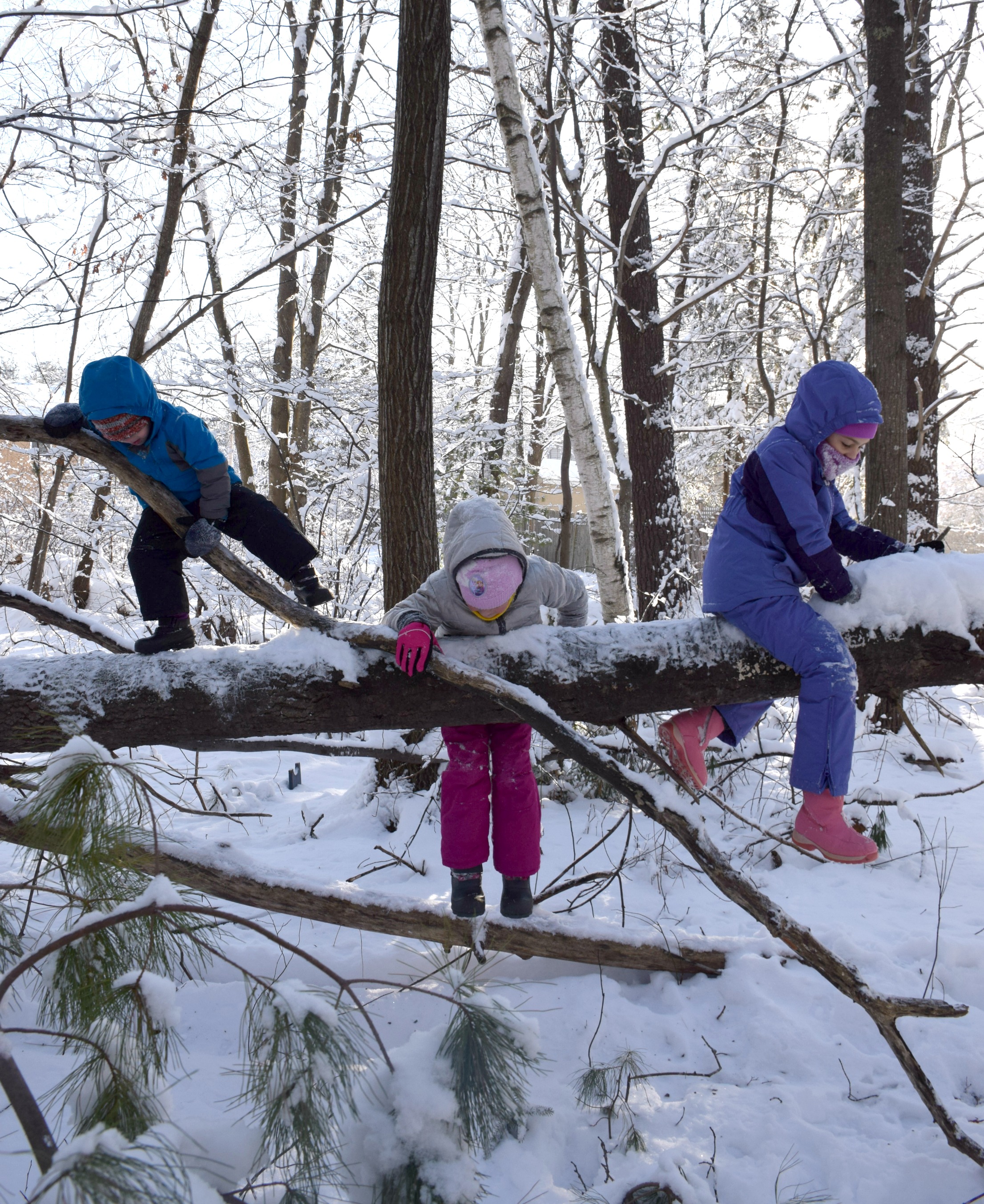 januaryhomeschooling20183