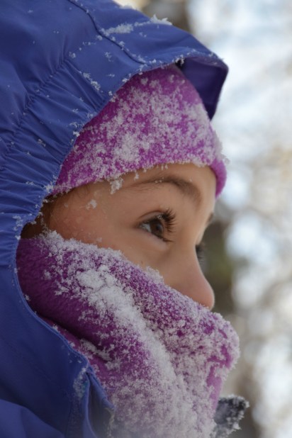 januaryhomeschooling20184